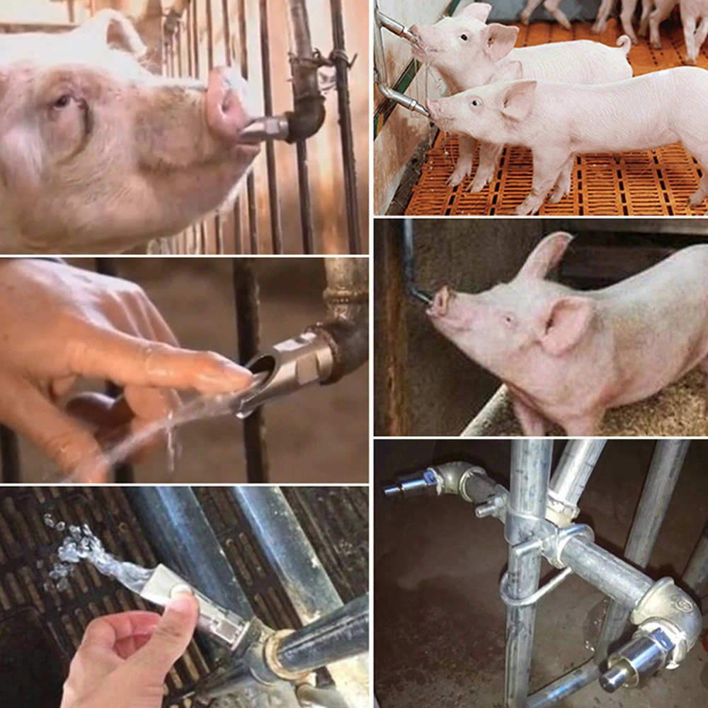 Pig Nipple Drinker Water Fountains Nipple Drinker Farming Equipment