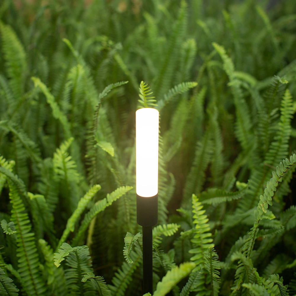 4.5W DC12V PMMA Top Spike LED Light for Garden Light