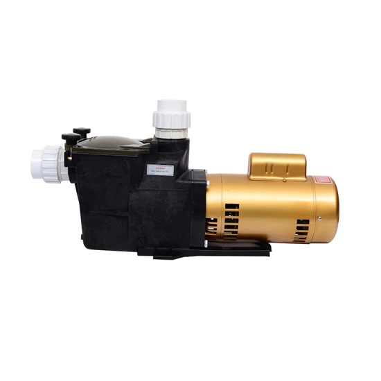 Biaobiao Customized Logo 3HP Housing in Ground Hayward Flow Fountain Swimming Filter Pool Pump 220V Inverter Kit Speed Control